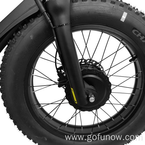 500W 48V 20AH Powerful Mountain Electric Bicycle